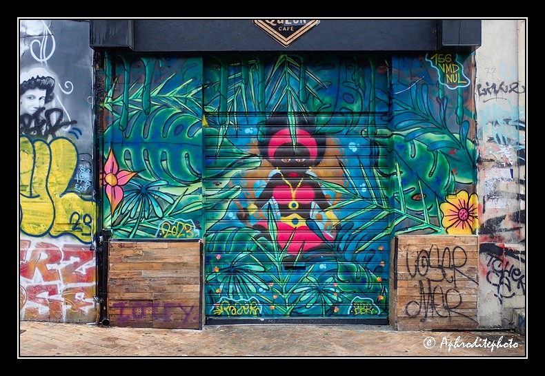 Marseille Street Art Julien 08